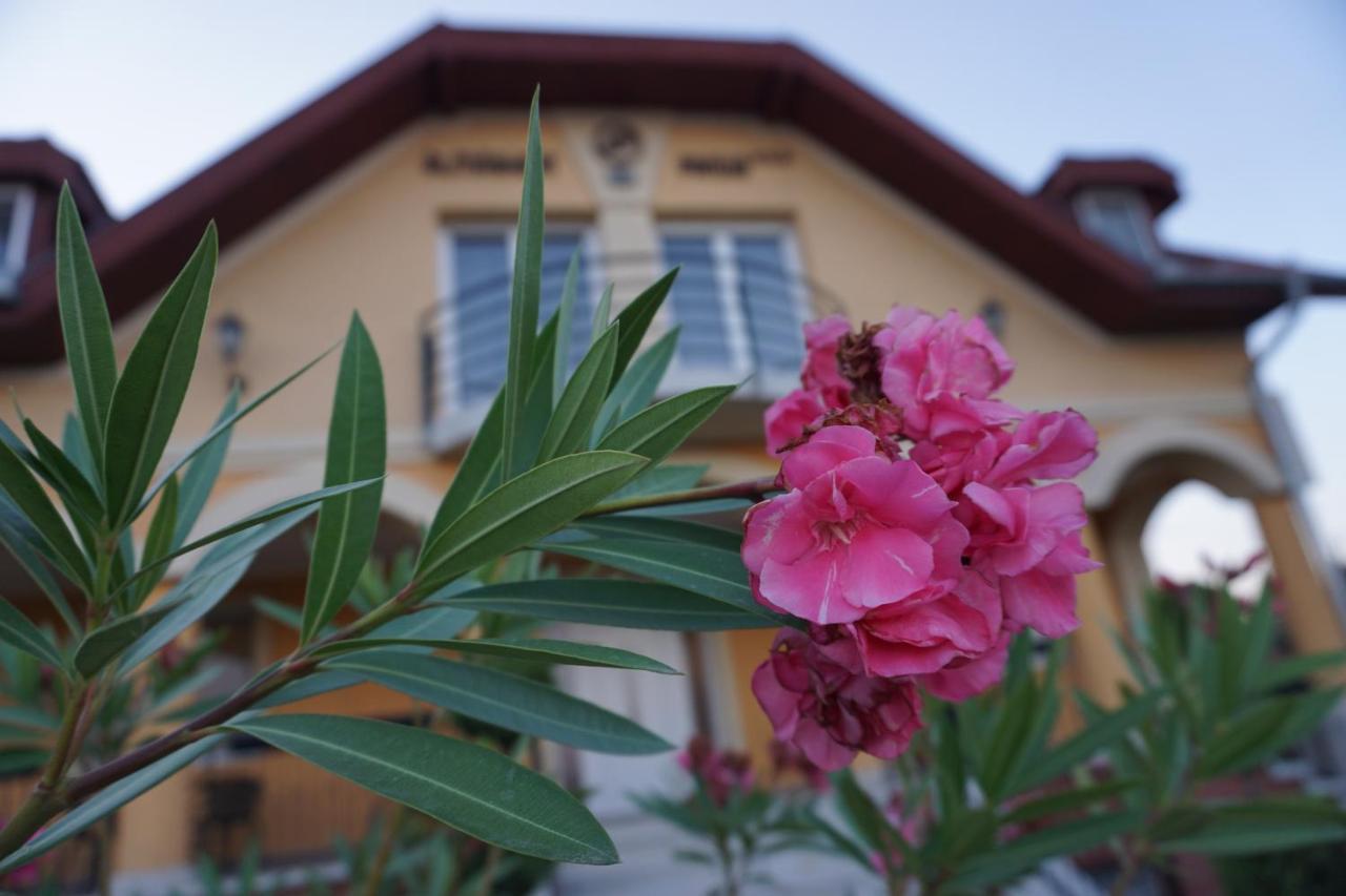 Airport Almaskert Panzio Bed & Breakfast Vecses Exterior photo